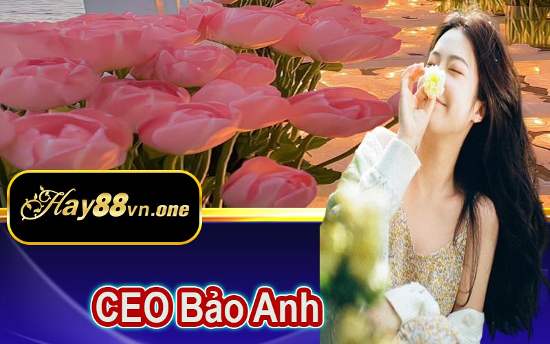 Quá trình thành lập nhà cái Hay88
