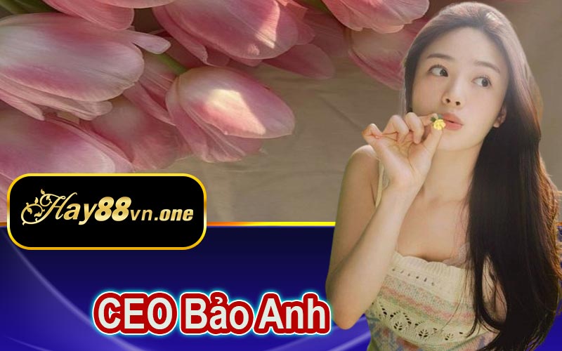 Thời thơ ấu và khởi đầu sự nghiệp của Bảo Anh
