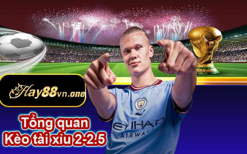 Tổng quan về tài xỉu 2-2.5 trong bóng đá