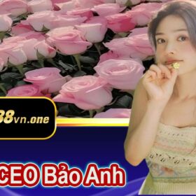 ceo Bảo Anh